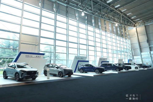 地平线发布新产品,用 芯 为自动驾驶打地基