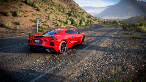 地平线5 萌新拍照